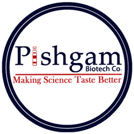 نرگس سرجوقیان